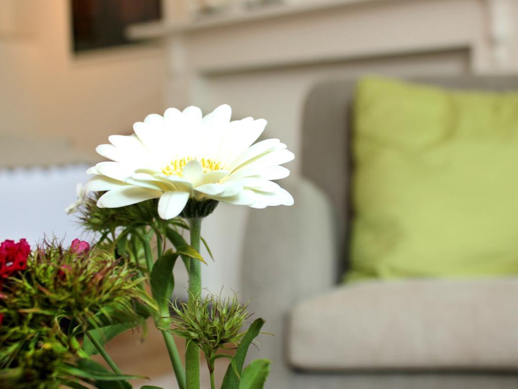 B&B Alphabet - Luxury Guesthouse&Art Gallery Bruges Chambre photo